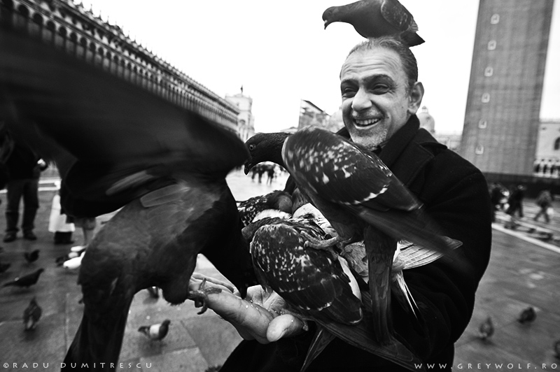 Om cu porumbei San Marco Street Travel Fotografie Grey Wolf Studios Radu Dumitrescu